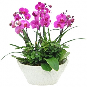 »ó¼¼³»¿ëº¸±â