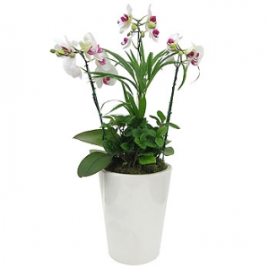 �󼼳��뺸��