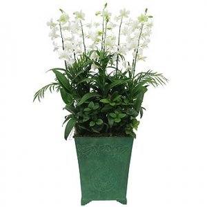 »ó¼¼³»¿ëº¸±â