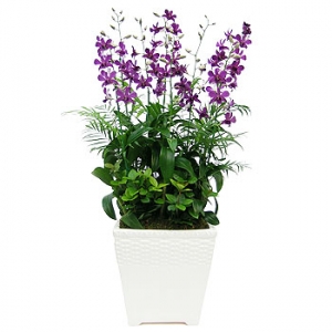 »ó¼¼³»¿ëº¸±â