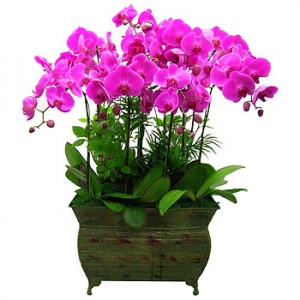 »ó¼¼³»¿ëº¸±â