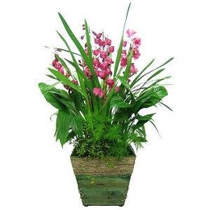 »ó¼¼³»¿ëº¸±â