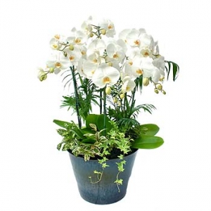 »ó¼¼³»¿ëº¸±â