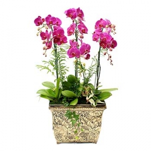 »ó¼¼³»¿ëº¸±â