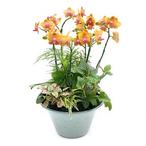 »ó¼¼³»¿ëº¸±â