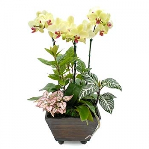 »ó¼¼³»¿ëº¸±â