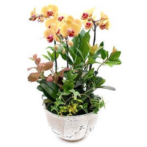 »ó¼¼³»¿ëº¸±â