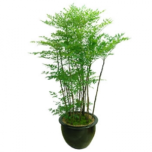 »ó¼¼³»¿ëº¸±â