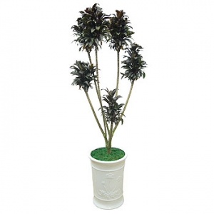 »ó¼¼³»¿ëº¸±â