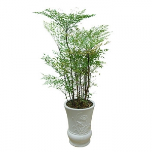 »ó¼¼³»¿ëº¸±â