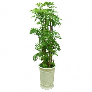 »ó¼¼³»¿ëº¸±â