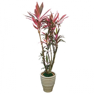 »ó¼¼³»¿ëº¸±â