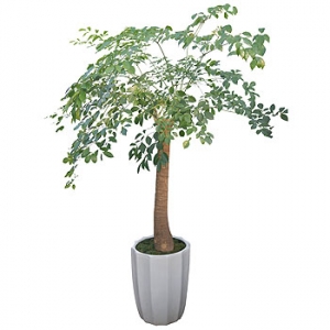 »ó¼¼³»¿ëº¸±â