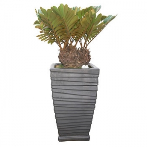 »ó¼¼³»¿ëº¸±â