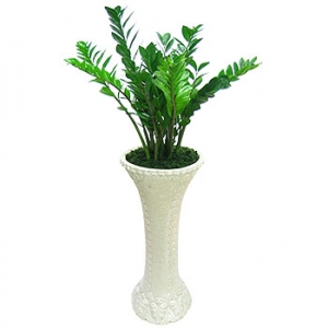 �󼼳��뺸��