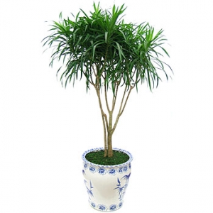 �󼼳��뺸��