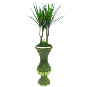 »ó¼¼³»¿ëº¸±â