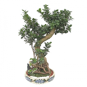 »ó¼¼³»¿ëº¸±â