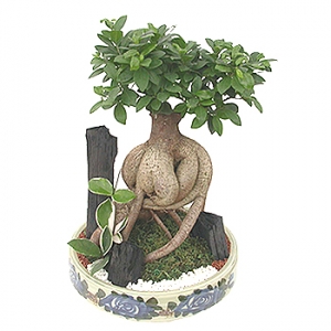 »ó¼¼³»¿ëº¸±â