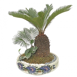 »ó¼¼³»¿ëº¸±â