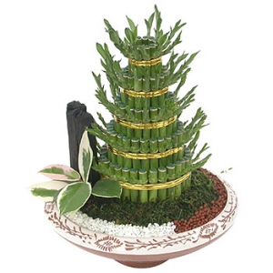 »ó¼¼³»¿ëº¸±â