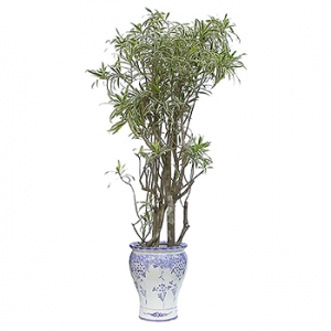 �󼼳��뺸��