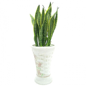 �󼼳��뺸��