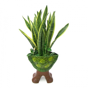 �󼼳��뺸��