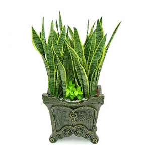 �󼼳��뺸��