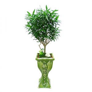 �󼼳��뺸��