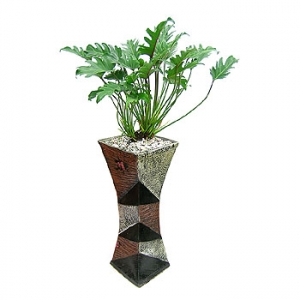 �󼼳��뺸��