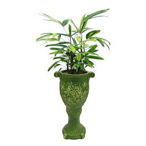 �󼼳��뺸��