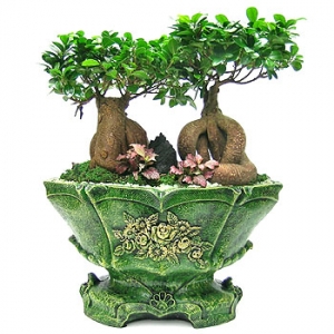 �󼼳��뺸��