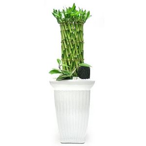 �󼼳��뺸��