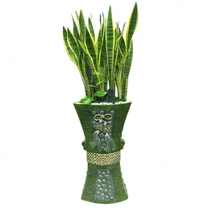 �󼼳��뺸��