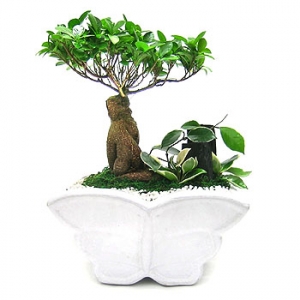 �󼼳��뺸��