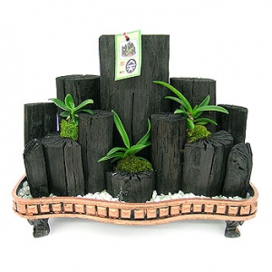 �󼼳��뺸��