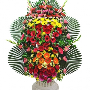 »ó¼¼³»¿ëº¸±â