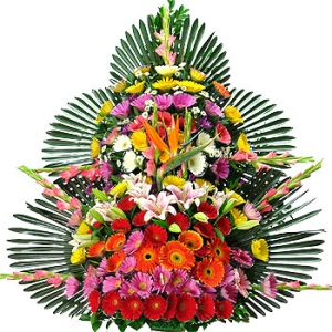 �󼼳��뺸��