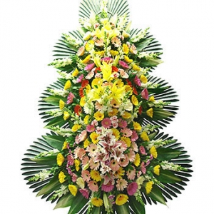 �󼼳��뺸��