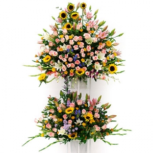 �󼼳��뺸��