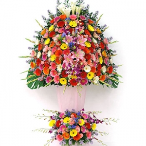 �󼼳��뺸��