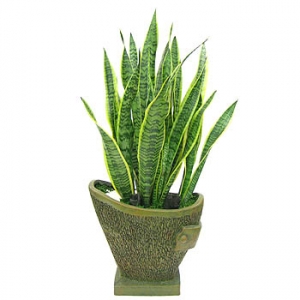 �󼼳��뺸��