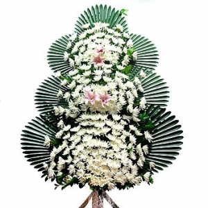 �󼼳��뺸��