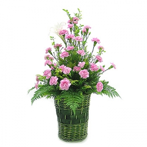 �󼼳��뺸��