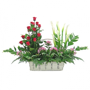 �󼼳��뺸��