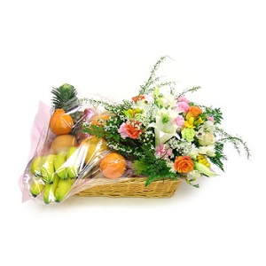 »ó¼¼³»¿ëº¸±â