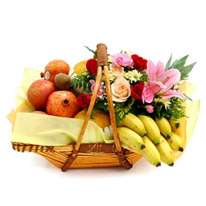 �󼼳��뺸��