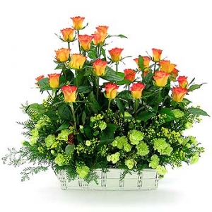 �󼼳��뺸��