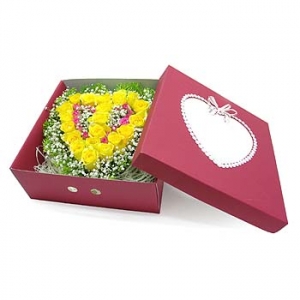 »ó¼¼³»¿ëº¸±â